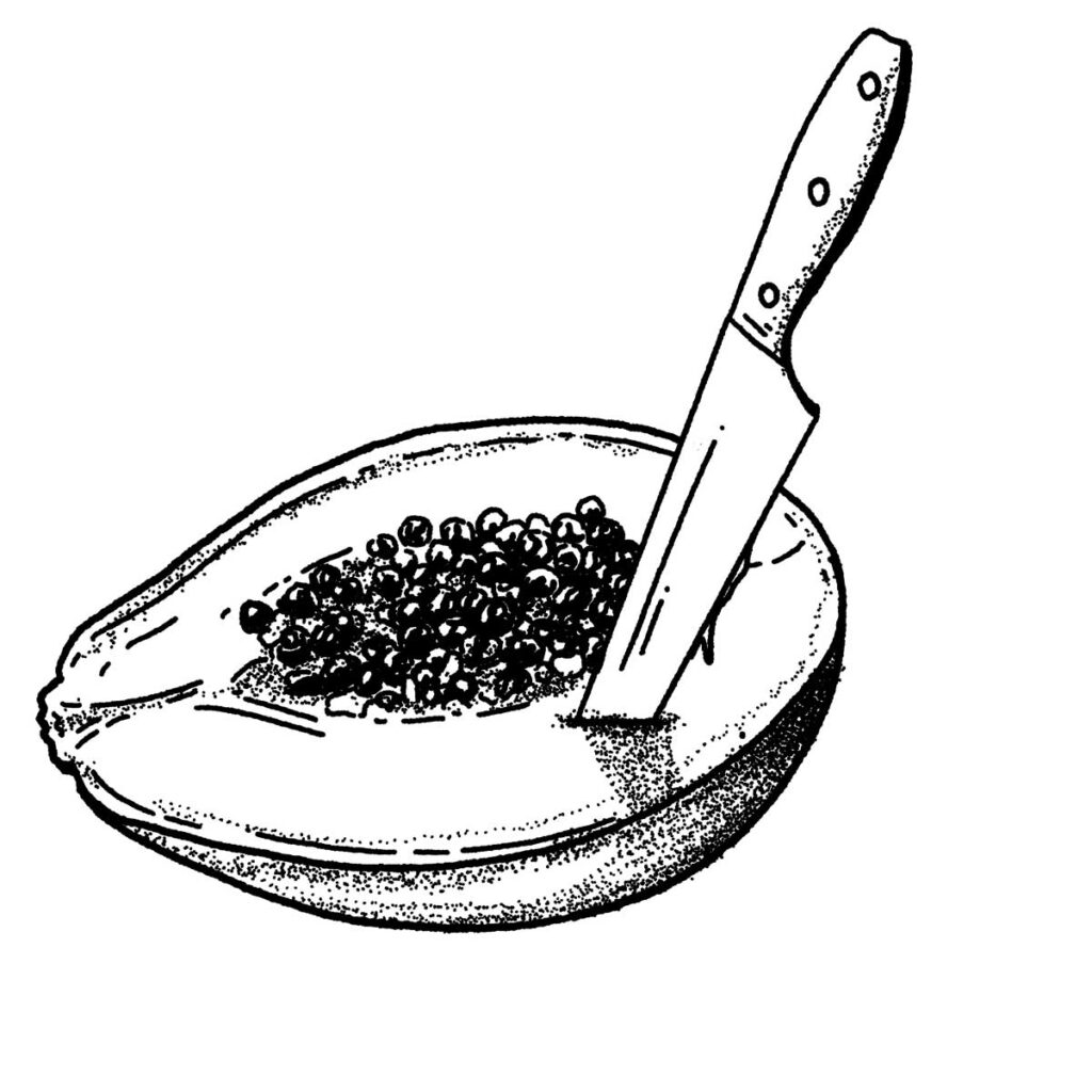 A VUELO DE PAPAYA