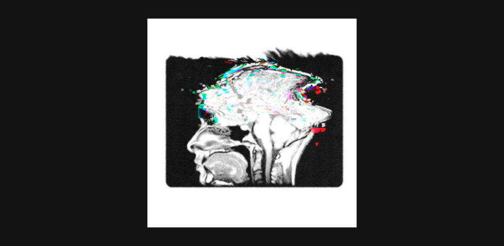 NEURALINK, MÁS CIENCIA SIN CONCIENCIA