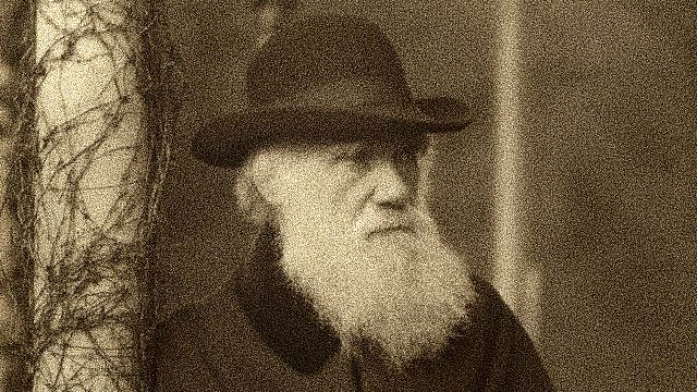 CHARLES ROBERT DARWIN (1809-1882)