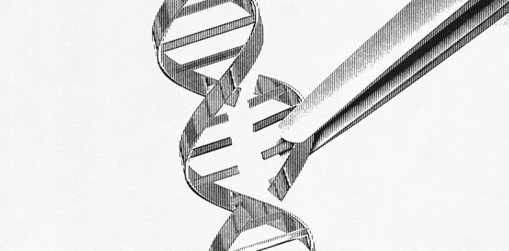 ADN: ALMACÉN DIGITAL NATIVO