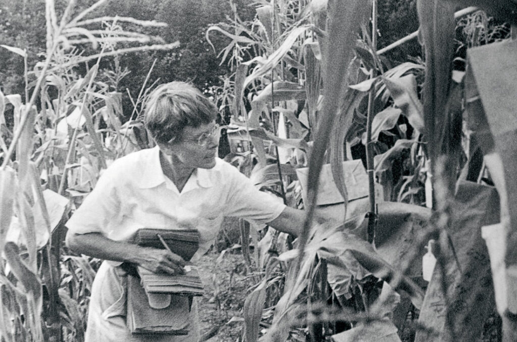 BARBARA MCCLINTOCK