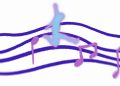 EL ETERNO RETORNO DE LA MÚSICA DEL HÉROE