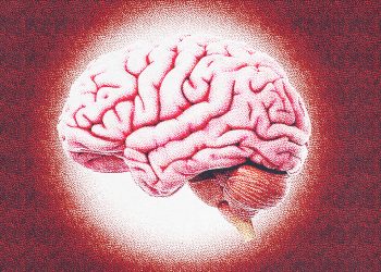 LO NEUROCIENTÍFICO EN LA ESPIRITUALIDAD