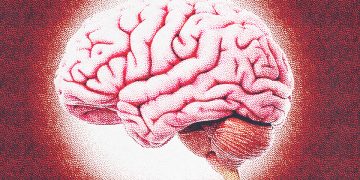 LO NEUROCIENTÍFICO EN LA ESPIRITUALIDAD