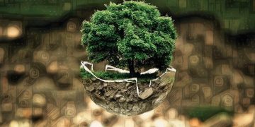 SIETE ACCIONES INDIVIDUALES PARA CONTRARRESTAR EL CAMBIO CLIMÁTICO