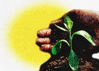 EL AMBIENTE, LA BASURA, LA CONCIENCIA