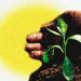 EL AMBIENTE, LA BASURA, LA CONCIENCIA