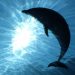 EL ALCANCE TERAPÉUTICO DE LOS ANIMALES