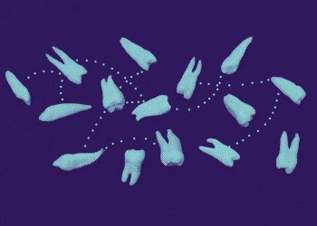 LOS DIENTES, FUENTE DEL CONOCIMIENTO DEL SER