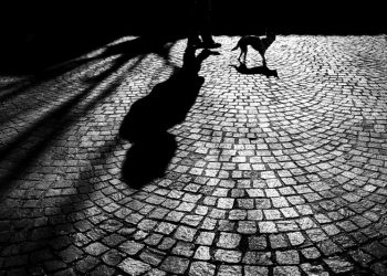 CRISIS, EL ESTADO INMUTABLE DEL HOMBRE