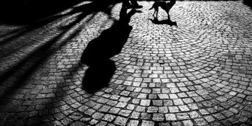 CRISIS, EL ESTADO INMUTABLE DEL HOMBRE