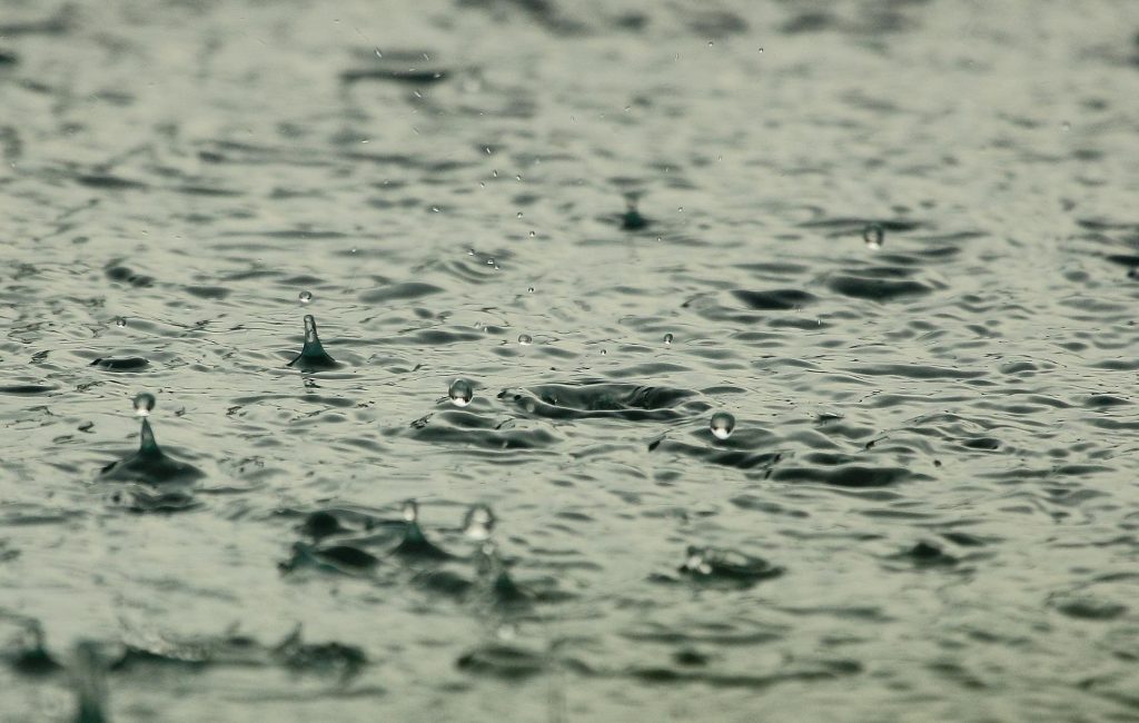 LLUVIA SERENA, SALVAJE Y ABUNDANTE