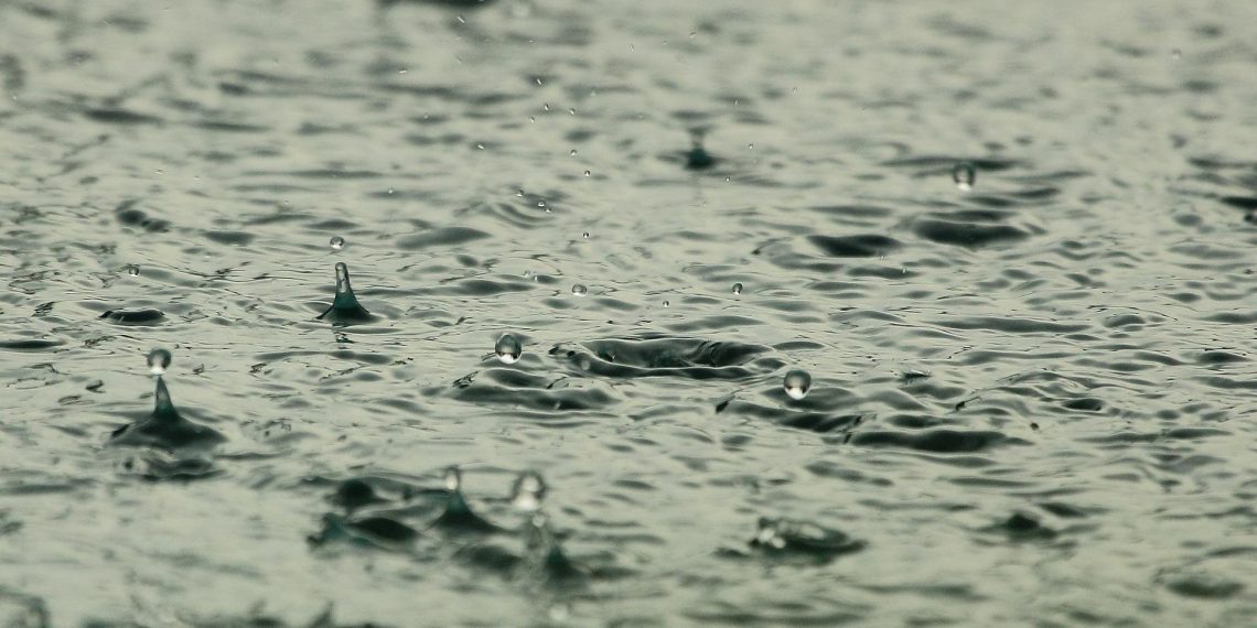 LLUVIA SERENA, SALVAJE Y ABUNDANTE