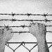 LA REPRODUCCIÓN DE LA LIBERTAD