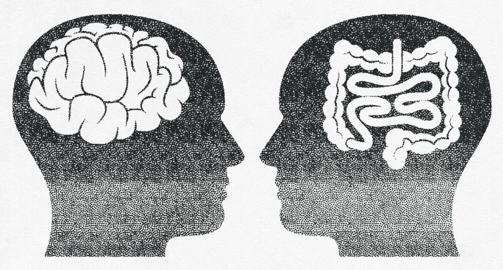 CUANDO HABLAMOS DEL SEGUNDO CEREBRO