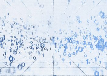 La información y el quinto estado