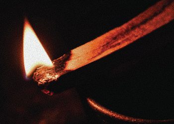 EL OBSTINADO FUEGO DE LA INCONSCIENCIA