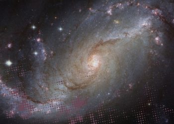 MANIFESTARSE DESDE LA CREACIÓN