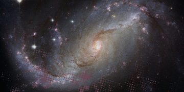 MANIFESTARSE DESDE LA CREACIÓN