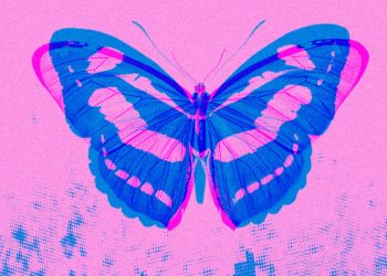 EL EFECTO MARIPOSA