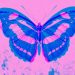 EL EFECTO MARIPOSA