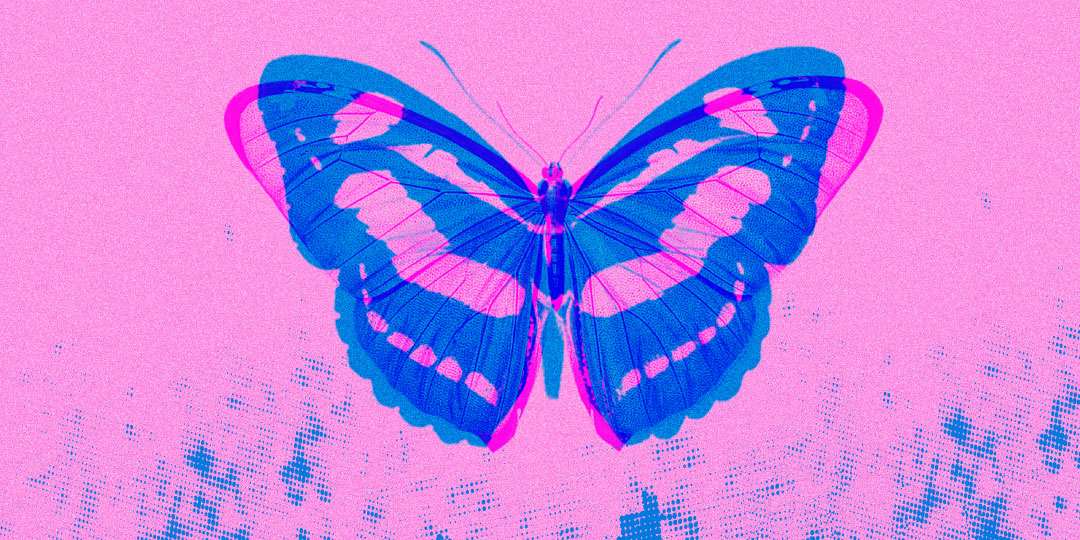 EL EFECTO MARIPOSA