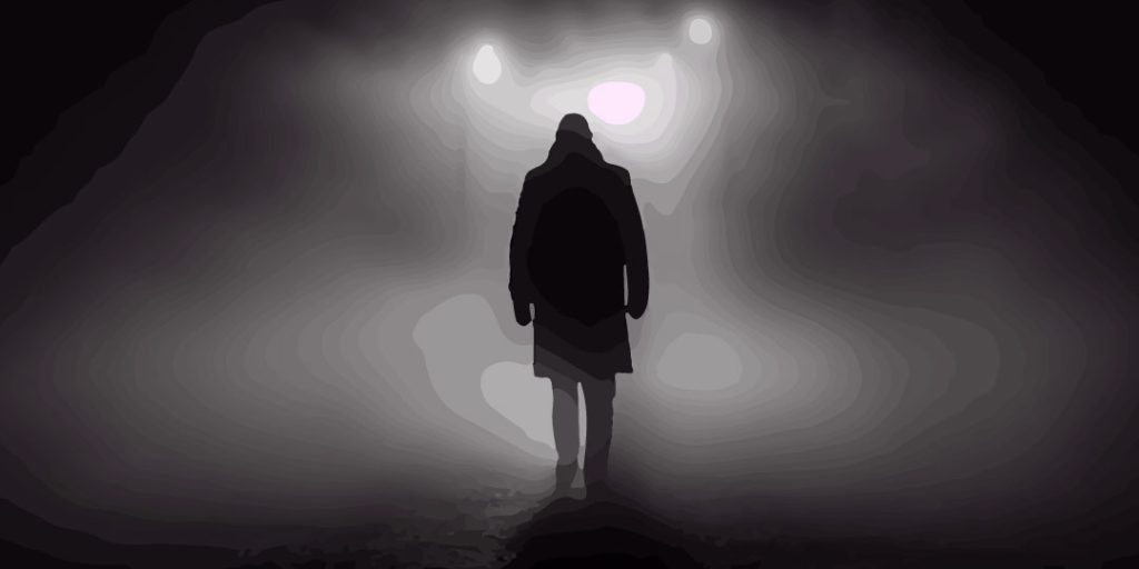 EL EQUIPAJE DE SOMBRAS QUE NEGAMOS