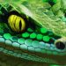 ¿QUÉ SIGNO HACES, OH SERPIENTE, CON TU REPTILIANO CUERPO?