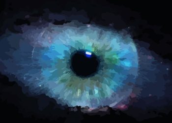 EL OJO QUE OBSERVA Y ES OBSERVADO