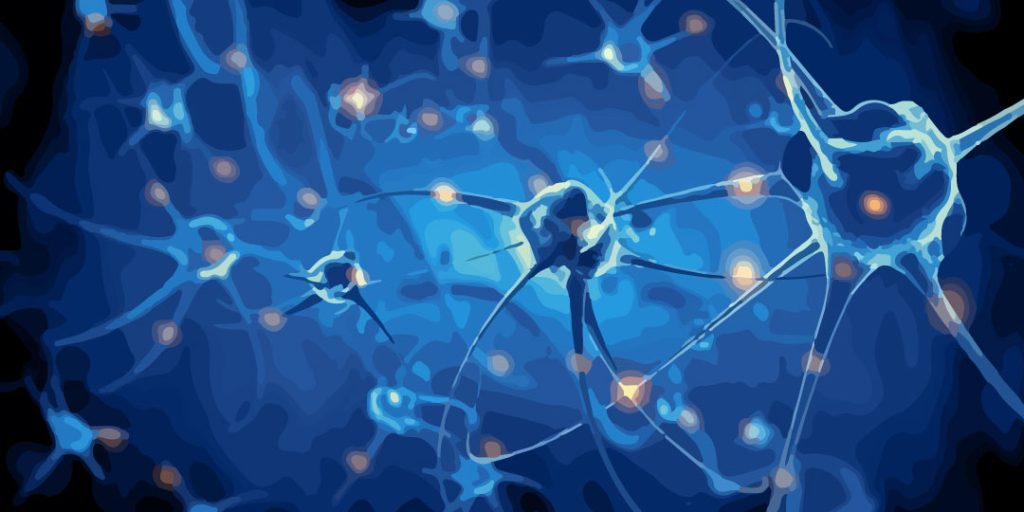 LA NEURONA QUE INHIBE, Y CONTROLA