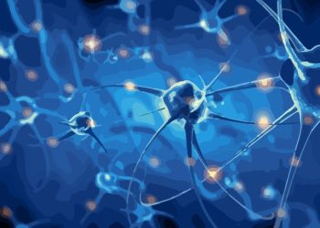 LA NEURONA QUE INHIBE, Y CONTROLA