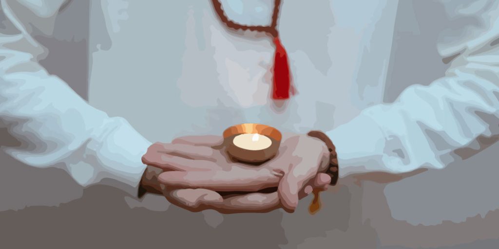 OBSERVACIONES DE UN SWAMI