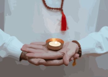 OBSERVACIONES DE UN SWAMI