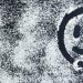 LOS SIGNOS DE LA AGONÍA, LA CARITA, LA SONRISITA