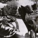 Tradición germánica | Karl Böhm (1894-1981)