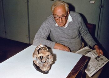 Homo Habilis en África | Louis Leakey (1903-1972)