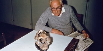 Homo Habilis en África | Louis Leakey (1903-1972)