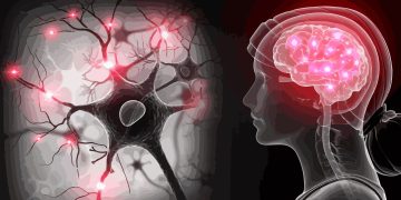 DIGNA MATERIA PARA EVOLUCIONAR