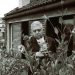 Pesimismo y vitalidad | Eugenio Montale (1896-1981)
