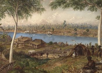 Curiosidad, arte y ciencia | Thomas Baines (1820-1875)