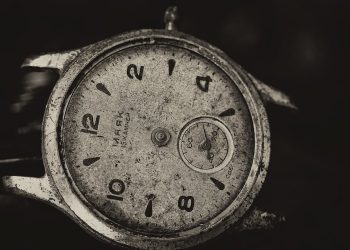 SOLO EL PRESENTE SE NUTRE DEL TIEMPO