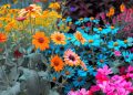 EL SILENTE VERBO DE LAS FLORES