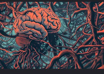 EL LABERINTO DE LOS CEREBROS ENREDADOS