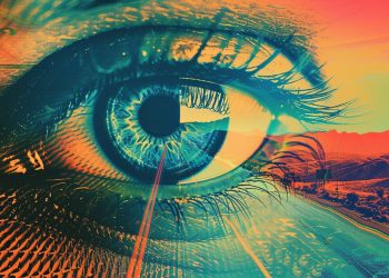 EL COLORIDO TRAYECTO HACIA LA ILUMINACIÓN