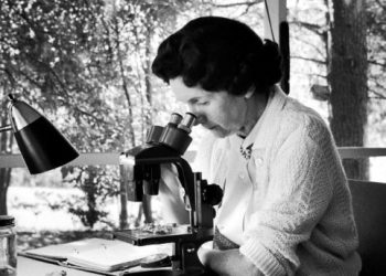 Conciencia ambiental | Rachel Carson  (1907-1964)