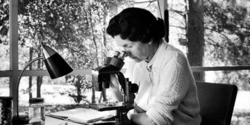 Conciencia ambiental | Rachel Carson  (1907-1964)