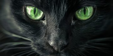 SUPERSTICIÓN, ENTENDIMIENTO ENTRE LO VISIBLE Y LO INVISIBLE