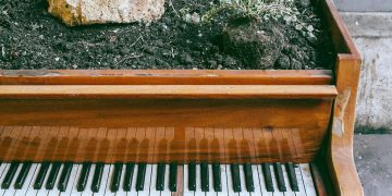 CARL JUNG Y LA MUSICOTERAPIA
