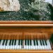 CARL JUNG Y LA MUSICOTERAPIA