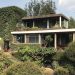 La naturaleza adopta a la arquitectura | Max Cetto (1903-1980)